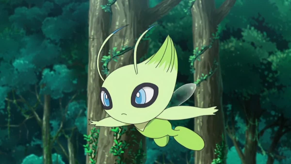 Sie müssen aufhören, in Pokemon TCG -Tasche über Celebi Ex zu flippen