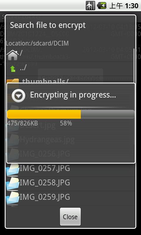 Secret File Locker