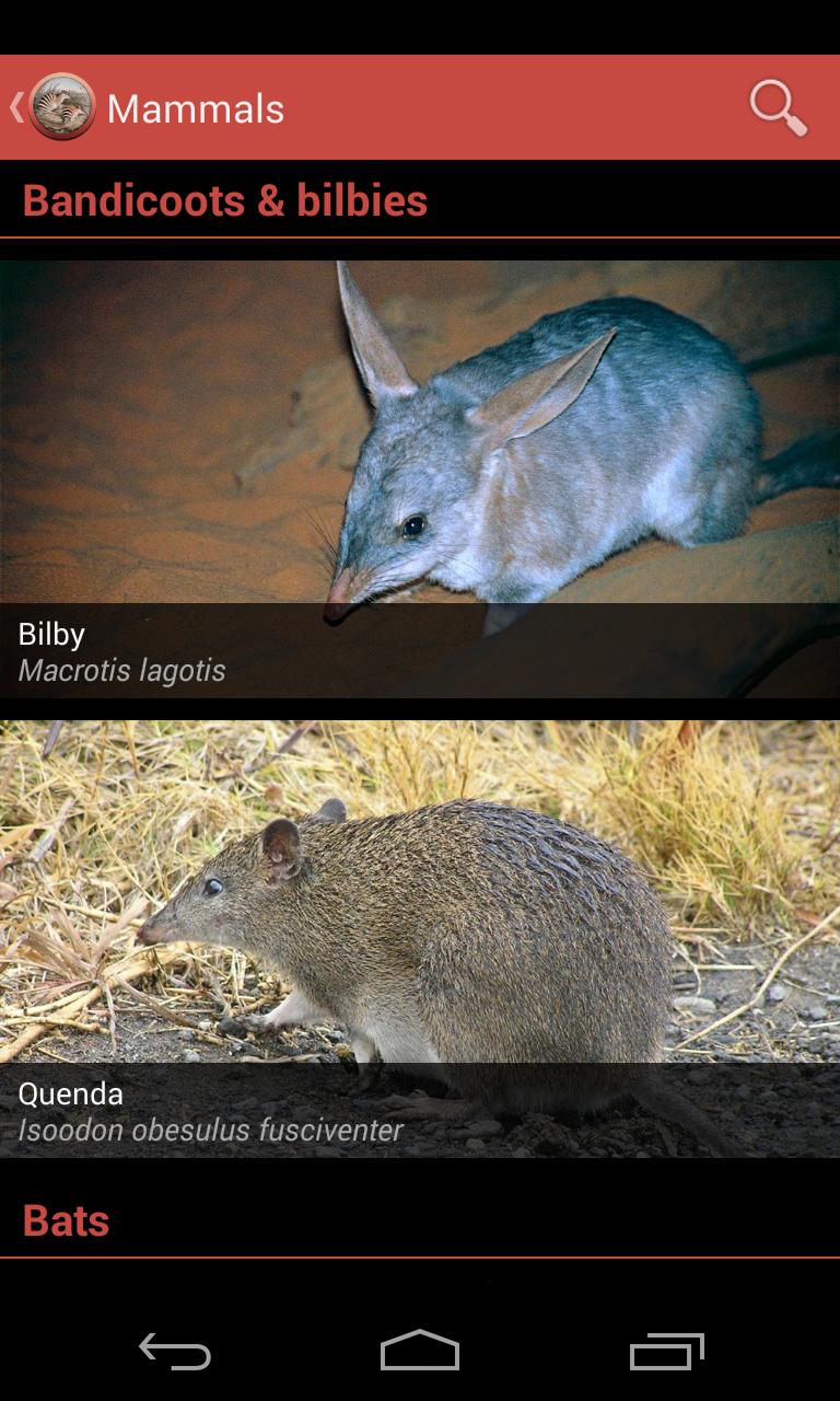 Field Guide to WA Fauna