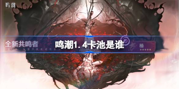 Qui est le pool de cartes Mingchao 1.4