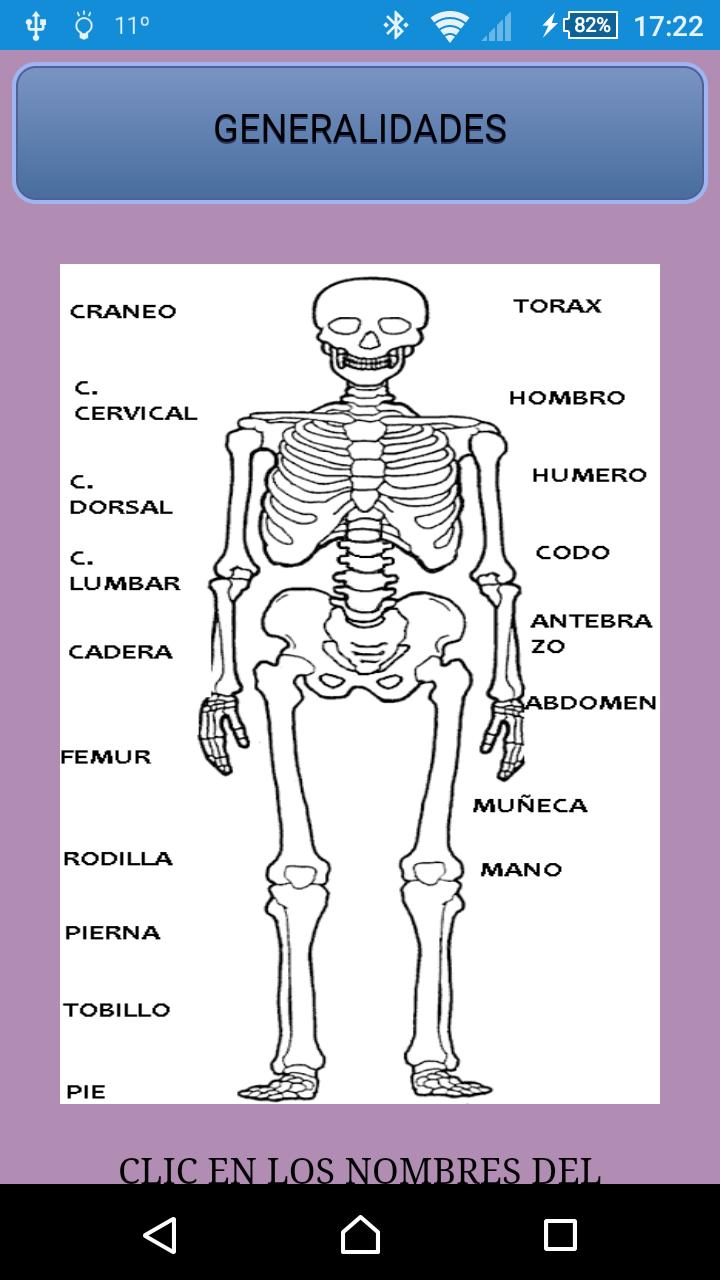Manual Radiologia