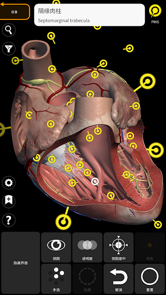 Anatomy 3D Atlas