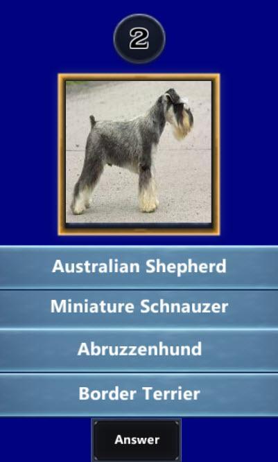 ﻿Quizup the Dog breed
