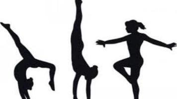 Free Gymnastics Lesson