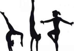 Free Gymnastics Lesson