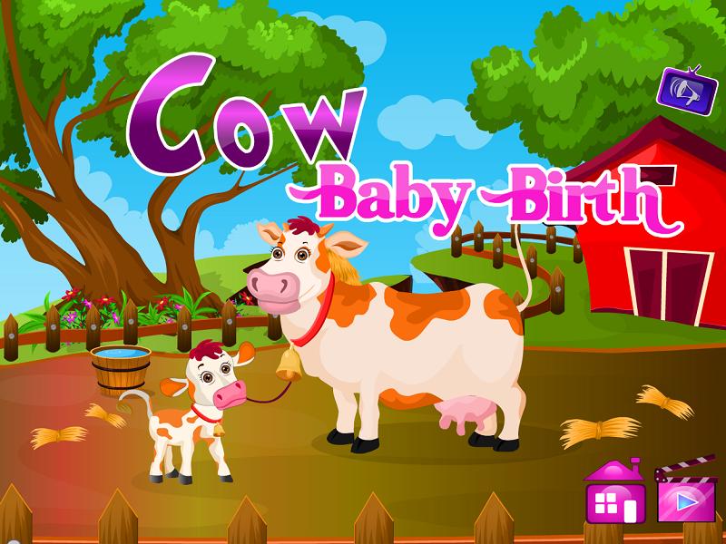 Cow Baby Birth