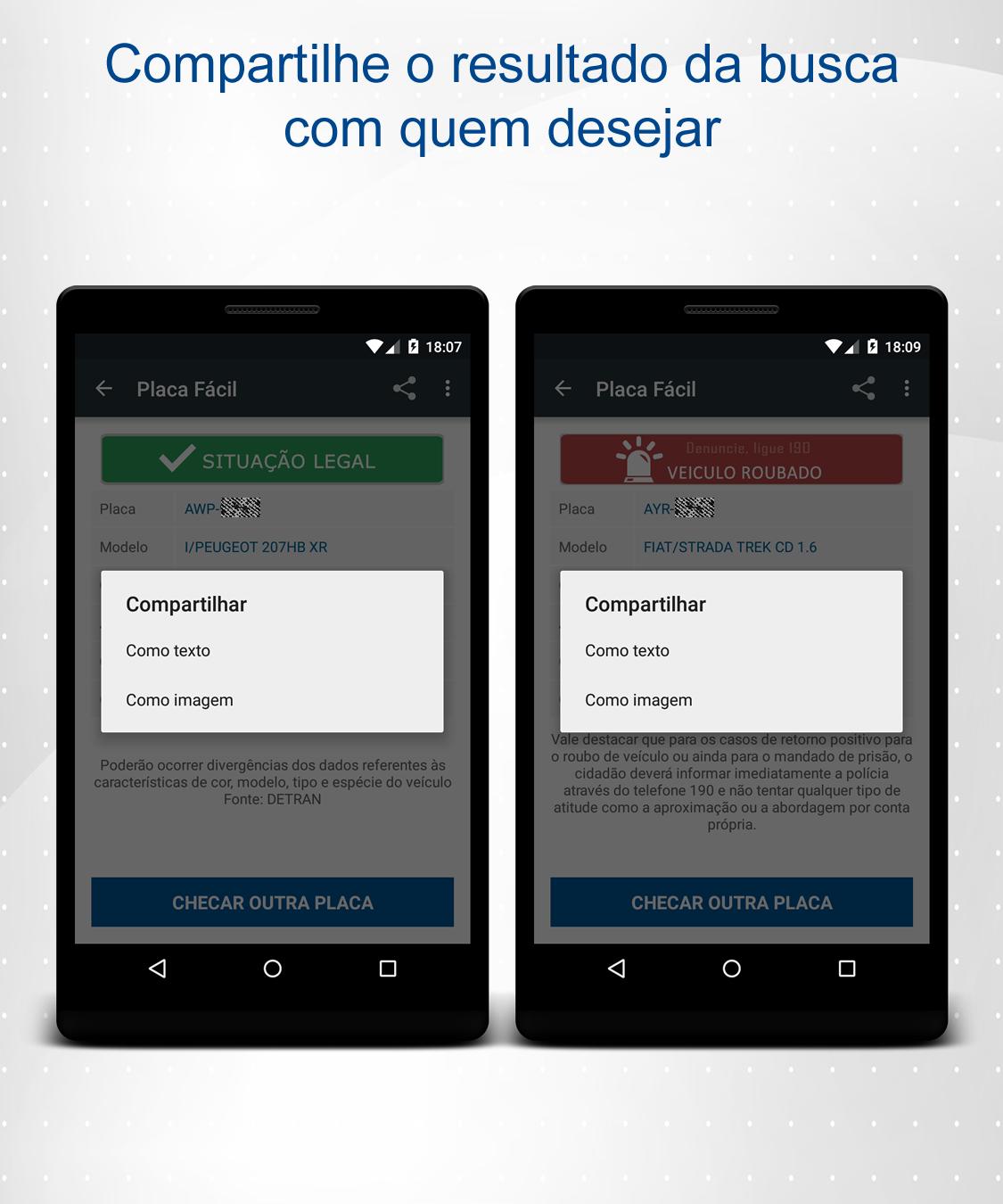 Consulta Placa Veiculo