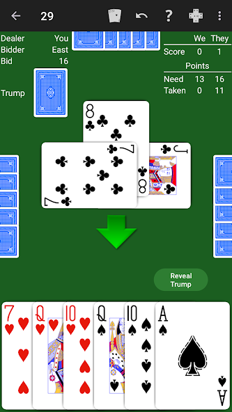 29 Card Game - Expert AI