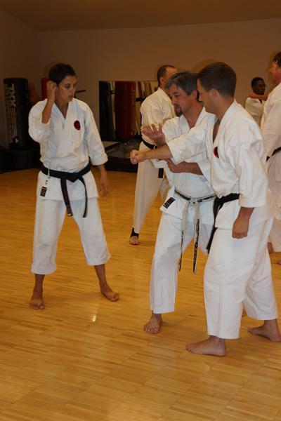 Shotokan karate