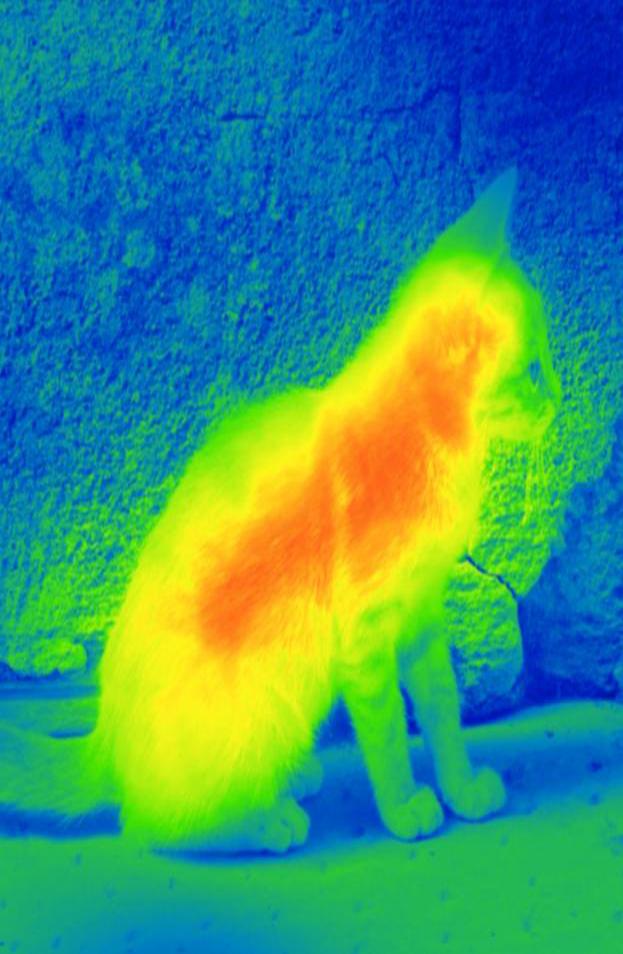 Thermal Vision Simulator