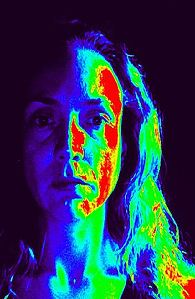 Thermal Vision Simulator