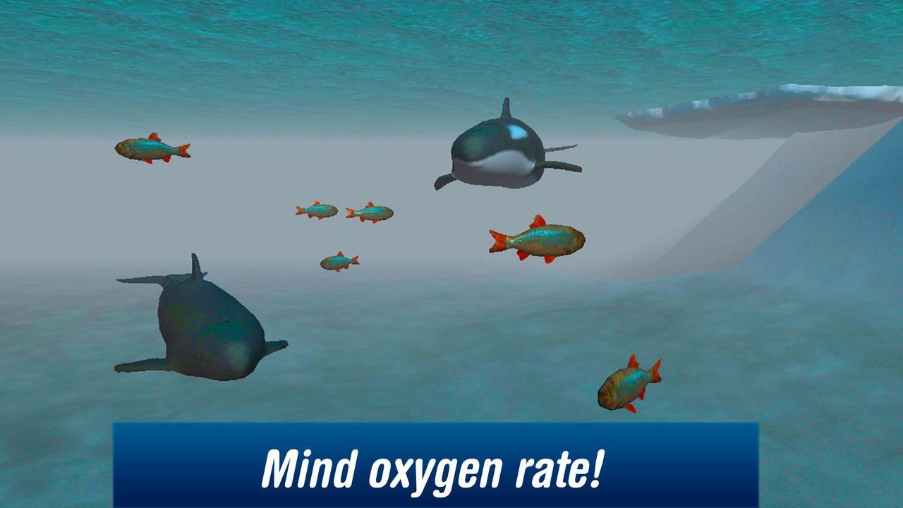 Killer Whale: Orca Simulator