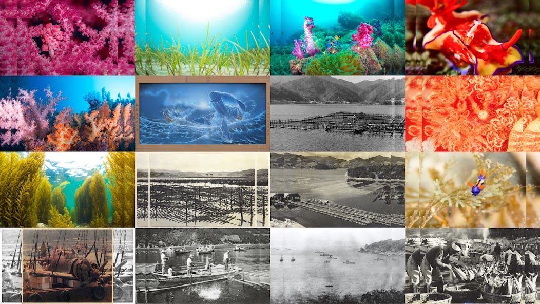 Sustainable sea puzzle