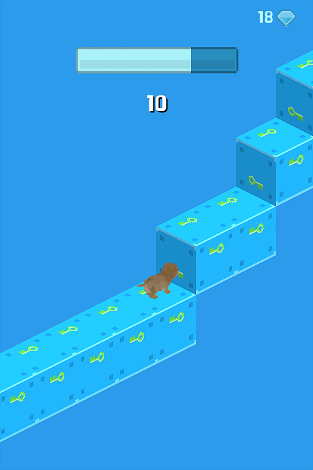 Puppy Infinite Stair