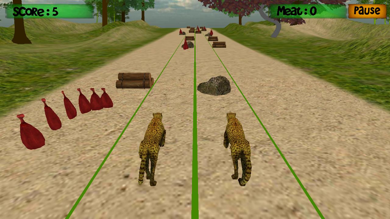 Cheetah Training World