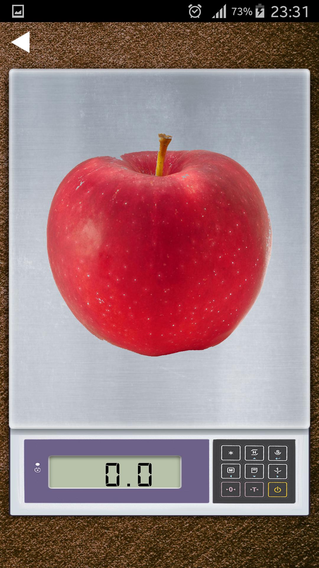 Weight Meter Scales prank