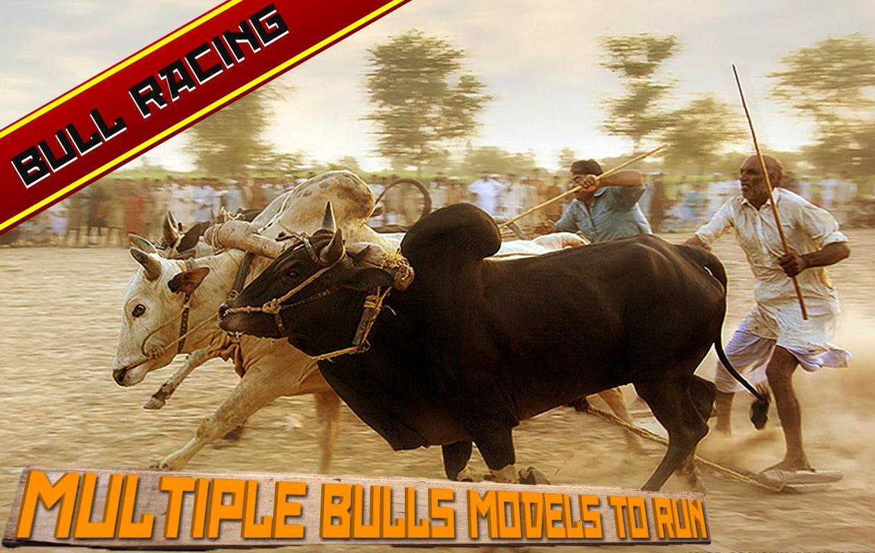 Farming Bull Racing game
