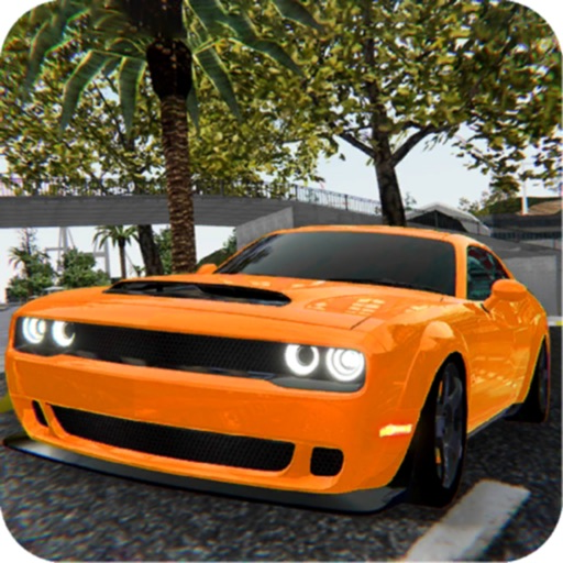 Car Driving School RX Learn