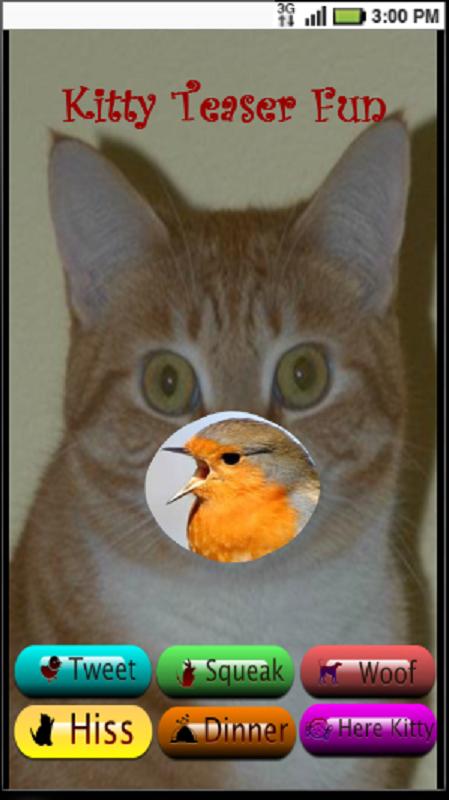 Cat Teaser Cat Sounds & Game