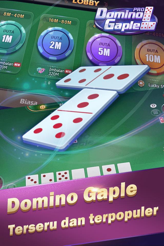 Domino Gaple Pro