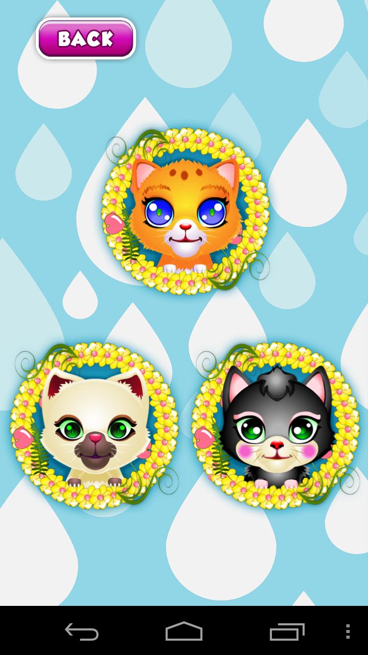 Cat Pet Wash